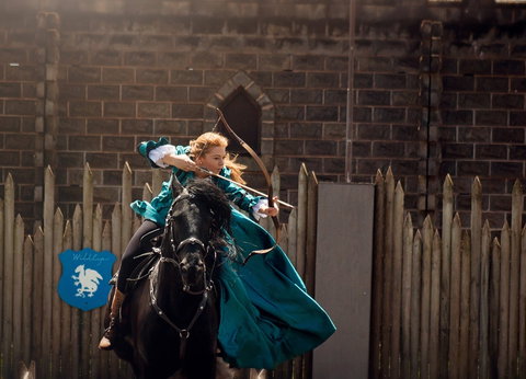 Baroque Horse Festival - Stayed 0