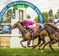 Bathurst Cup - Stayed