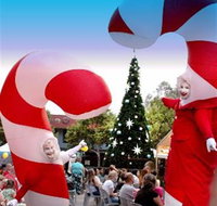 Blacktown Christmas Light Up Concert - Stayed
