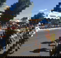 Bunny Bazaar - Stays Accommodation