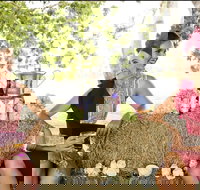 Burdekin Growers Race Day - Stayed