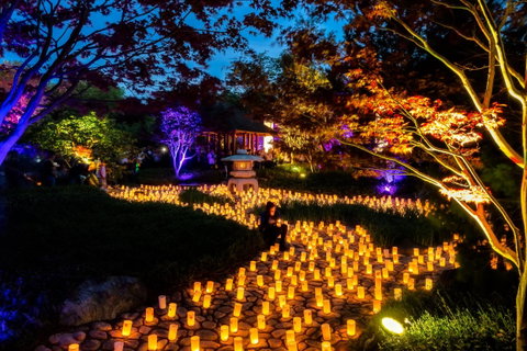 Canberra Nara Candle Festival - Stayed 0