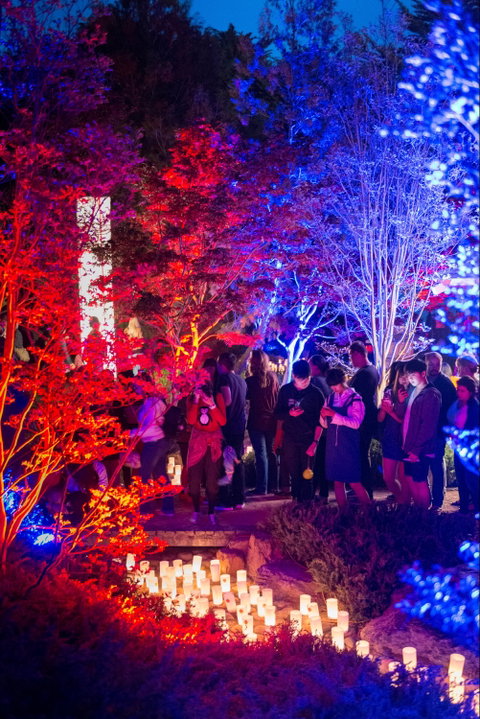 Canberra Nara Candle Festival - Stayed 1