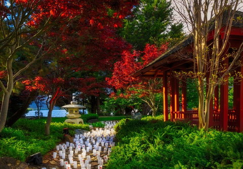 Canberra Nara Candle Festival - Stayed 2