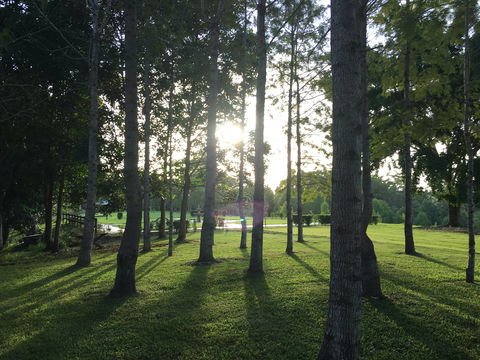 Celebration Outing Special - Stayed 0