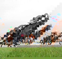 Christmas Cup Race Day - Stayed