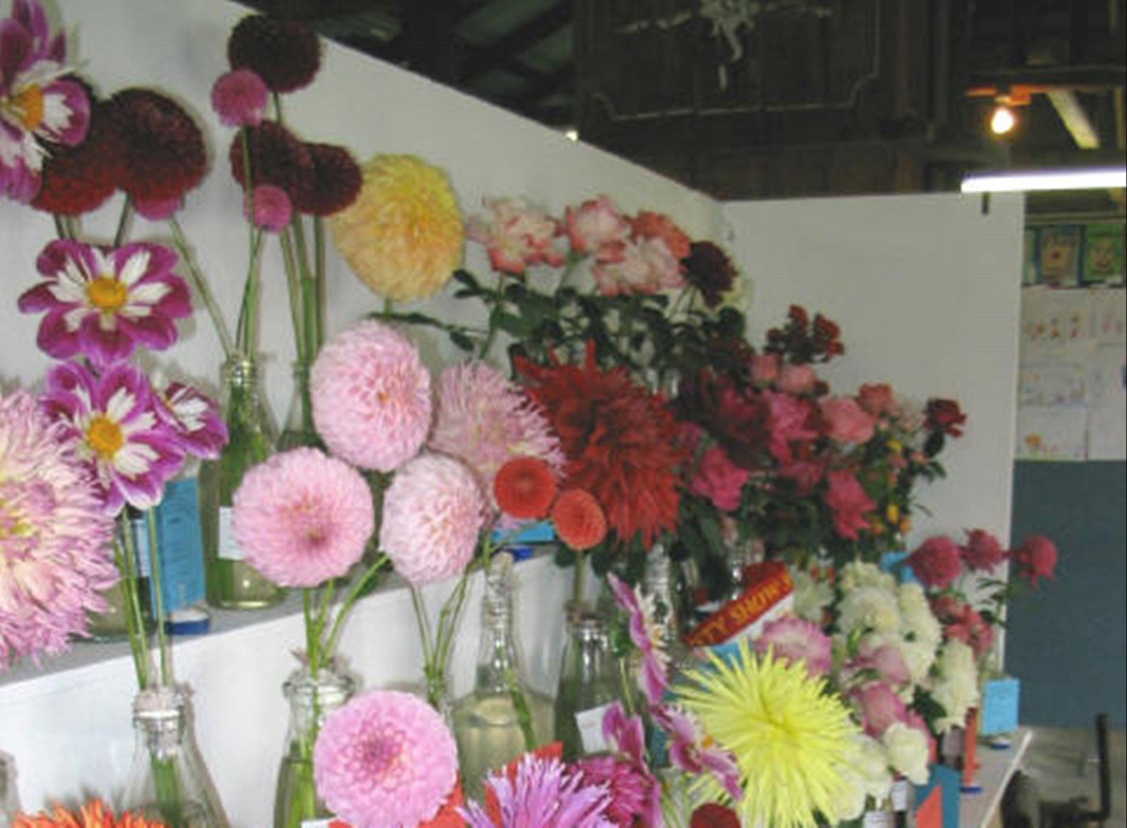 Cootralantra NSW Stays Accommodation