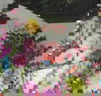 Dalgety Show - Stays Accommodation