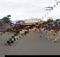 Dowling Street Christmas Party - Stays Accommodation