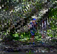 Elephant Trail Race - Stays Accommodation