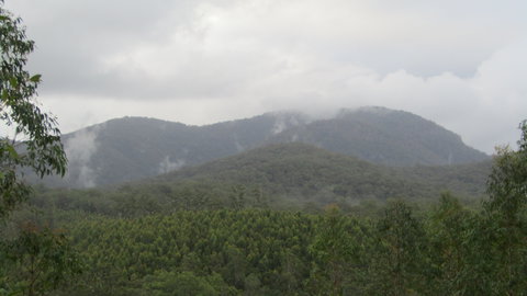 Elephant Trail Race - Stayed 2