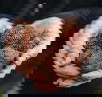 Feast and Forage - Craig's Royal Hotel - Stayed