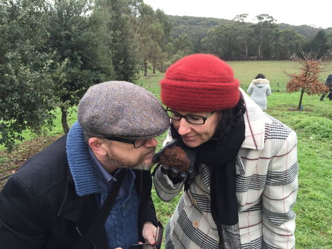 Feast And Forage - Craig's Royal Hotel - Stayed 1