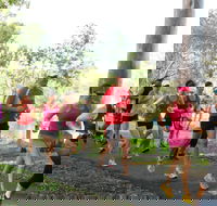 Gladstone Weekly Parkrun - Stayed