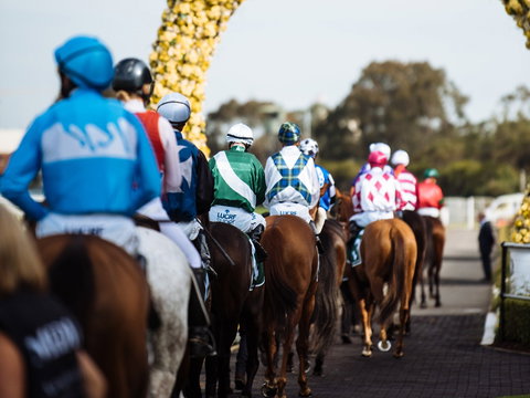 Golden Eagle Day - Stayed 1