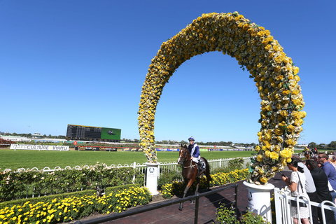 Golden Eagle Day - Stayed 2