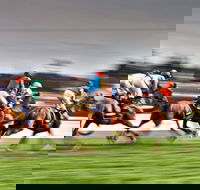 Grafton July Racing Carnival - Stayed