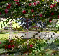 Griffith Spring Fest - Stayed