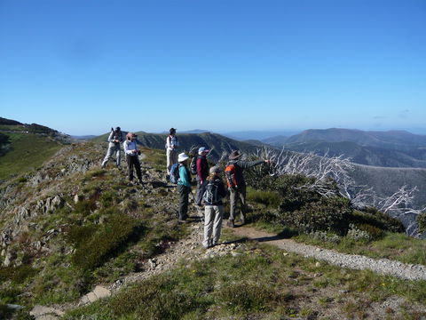 Hedonistic Hiking's Falls Creek To Hotham - Stayed 1