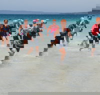 IGA Callala Triathlon Festival - Stays Accommodation