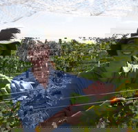 Kingsdale Wines - Cellar Door Wine Tastings - Stayed