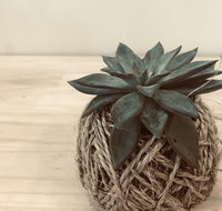 Kokedama Workshop - Stayed