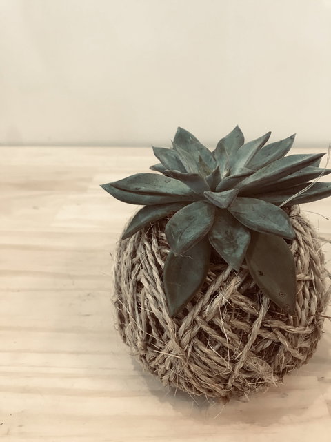 Kokedama Workshop - Stayed 0