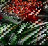 Lawrence Farmers and Community Markets - Stayed