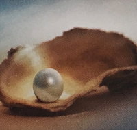 Lecture Cancelled  ADFAS  Lecture Half-Day - Patricia Law speaking on Pearls and Diamonds - Stayed