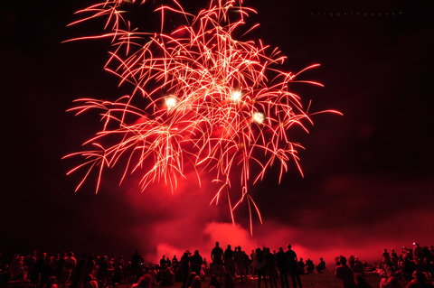 Leeton Sunrice Festival - Stayed 2