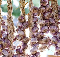 Meeniyan Garlic Festival - Stayed