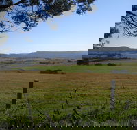 Milton Village Showground Markets - Stayed