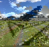 Mortimer's Diploma of Taste - Stayed