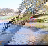 Mountain Man Tri Challenge - Stayed