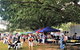 Murrumbateman Village Market - thumb 0