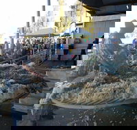 Narrabri Show - Stayed