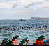 Nowra Toyota triHusky Huskisson Triathlon Festival Little Husky - Stays Accommodation