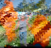 Outback Festival - Stayed