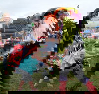 Pambula Show - Stayed