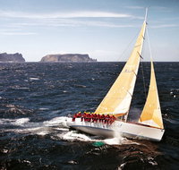 Rolex Sydney Hobart Yacht Race - Stayed