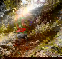 Run Dungog - Stays Accommodation