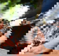 Saturday Wine Masterclass - Stays Accommodation