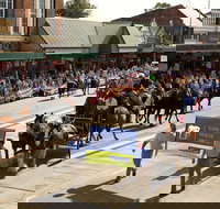 Scone Horse Festival - Stays Accommodation