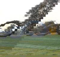 SculptureShaw - Stayed