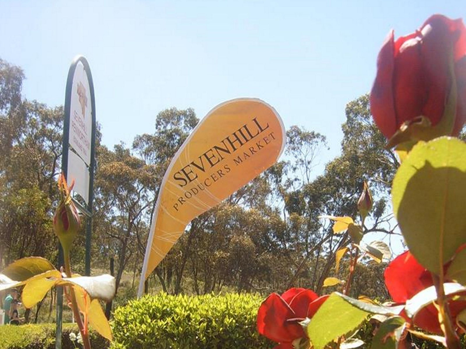 Sevenhill SA Stayed