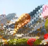 Sevenhill Producers Market - Stayed