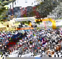 Snowies MTB Festival - Stays Accommodation