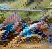 Suck It Up Buttercup Vikings Obstacle Course - Stays Accommodation