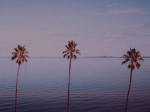 Sunset Streaming Live DJ Streams - Stayed 0