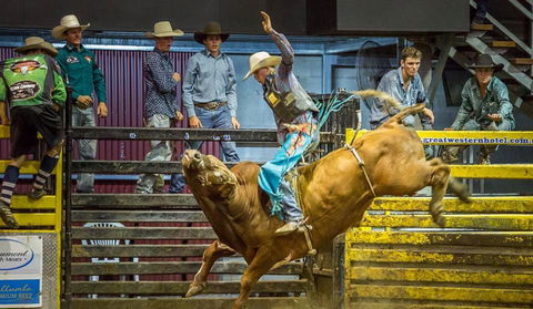 Top Gun And Young Gun Series Round 7 - Stays Accommodation 0